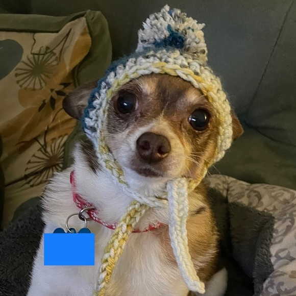 100 % Handmade Crochet Dog/Pet/Cat Hat Beanie - Extra Small to Small - Picture 4 of 5